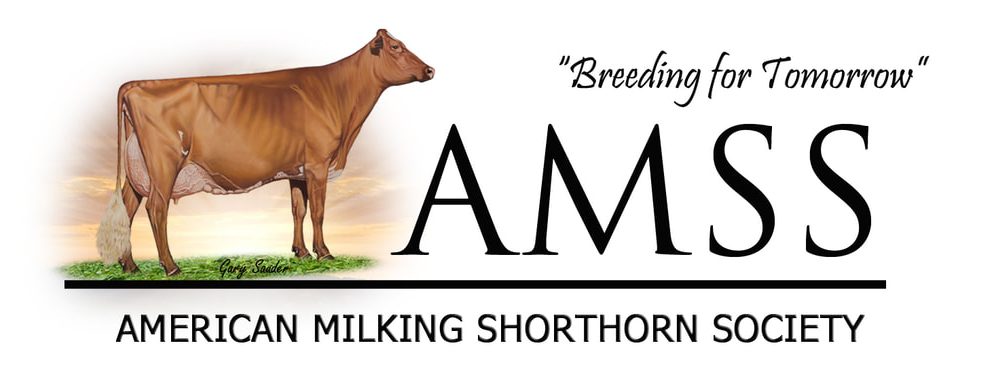 AMSS Logo